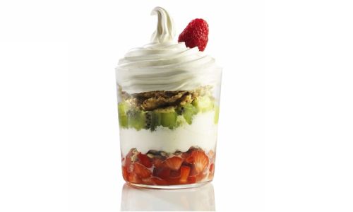 FROZEN YOGURT POWDER